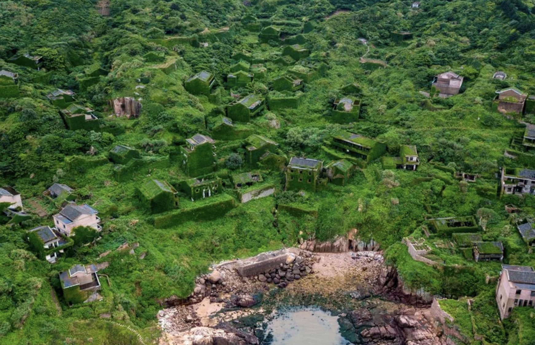 Nature reconquering human areas 